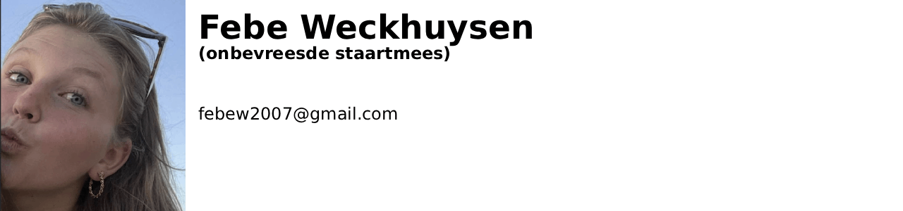 foto van leiding(Febe)