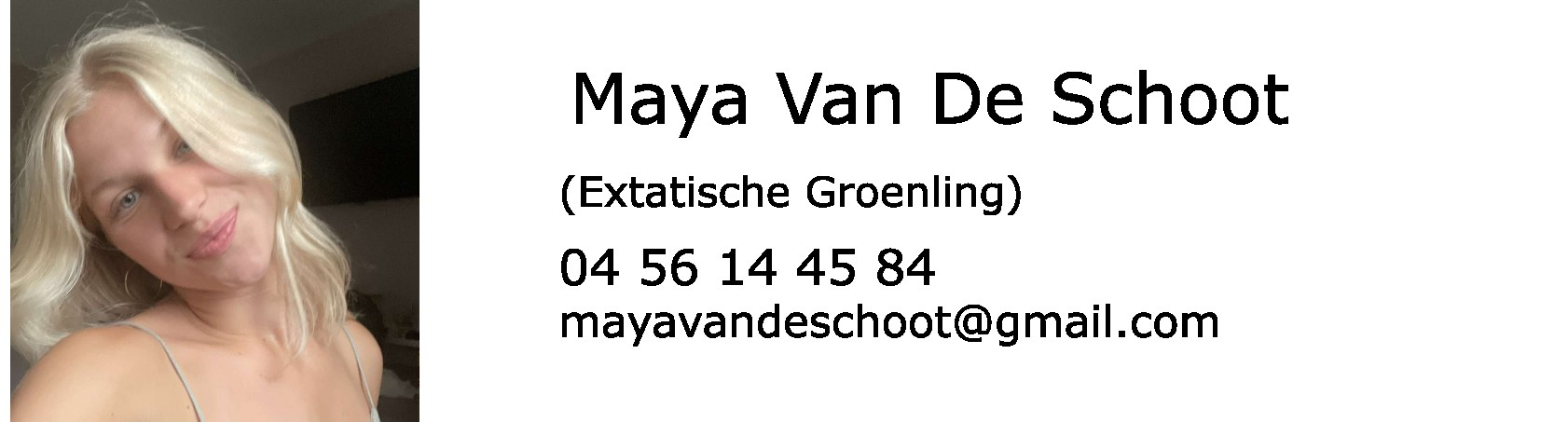 foto van leiding(Maya)